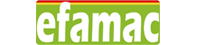 Hex Logo